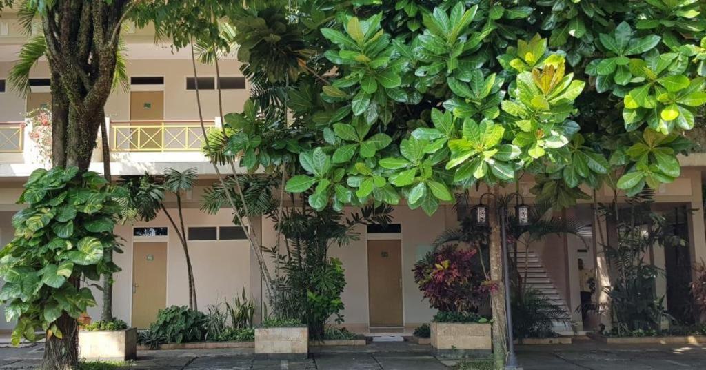 Hotel Sulawesi Jembel Eksteriør billede