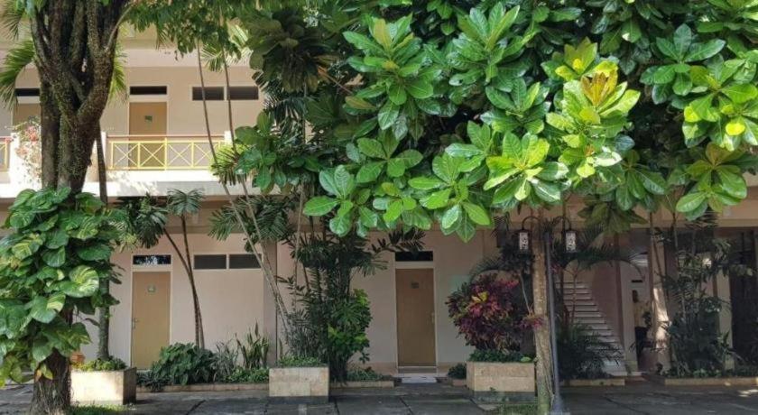 Hotel Sulawesi Jembel Eksteriør billede